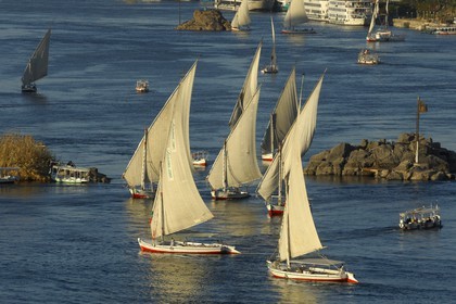 Egypte, Haute Egypte, vallée du Nil, Assouan, felouque sur le Nil