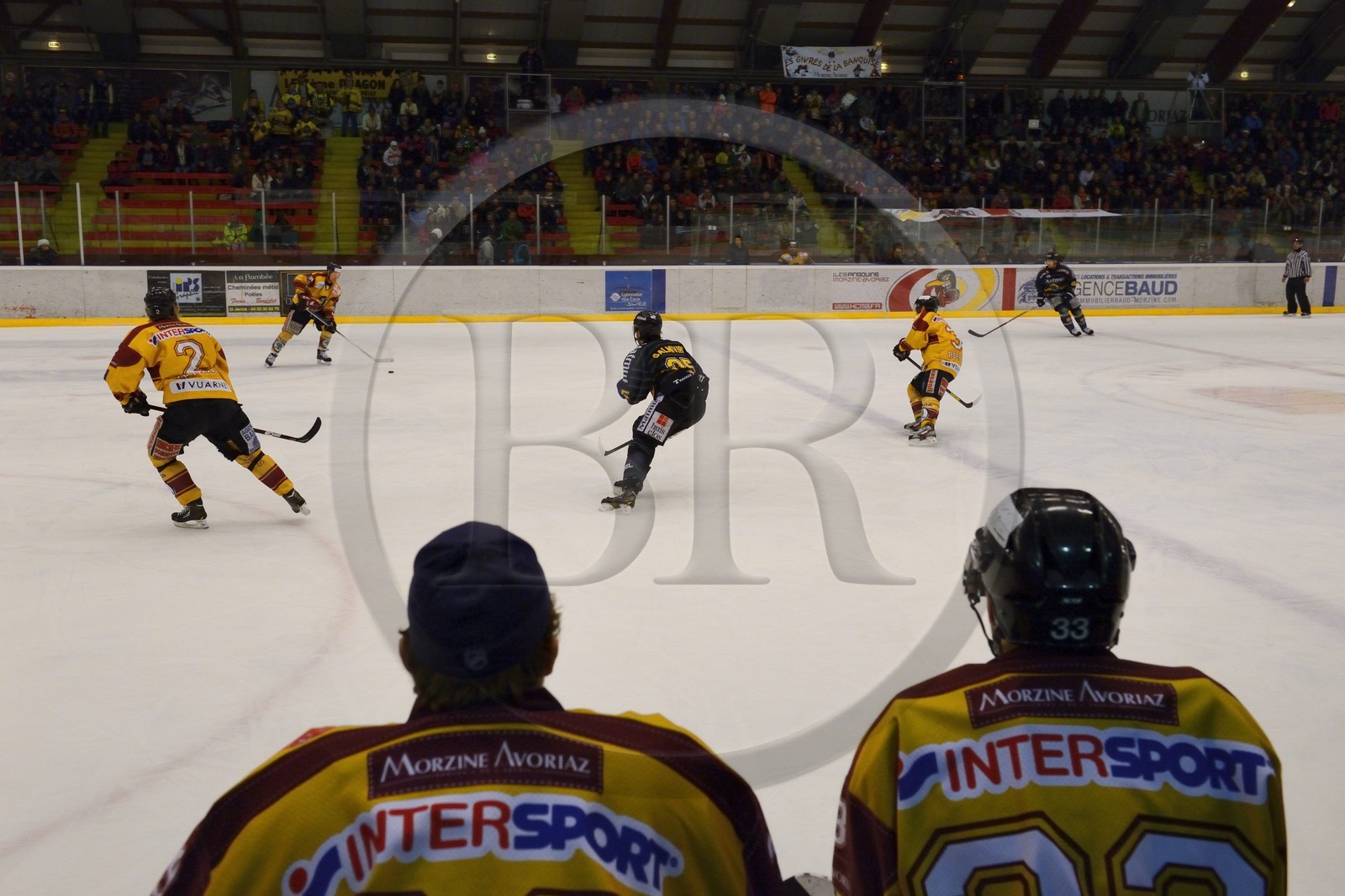 France, Haute-Savoie (74), Morzine, match de hockey sur glace du Hockey Club Morzine-Avoriaz appelé les Pingouins