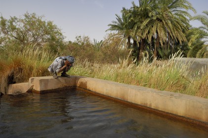 Egypte, désert libyque, oasis de El-Dush au sud de Kharga