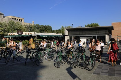 Canada, province de Québec, Montréal, quartier du Plateau Mont Royal