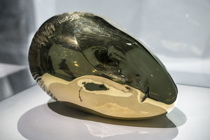 France, Paris (75), quartier des Halles, le Centre Pompidou aussi apellé Beaubourg, Musée National d'Art Moderne (MNAM), exposition retrospective Brancusi, La Muse endormie, 1910, bronze poli