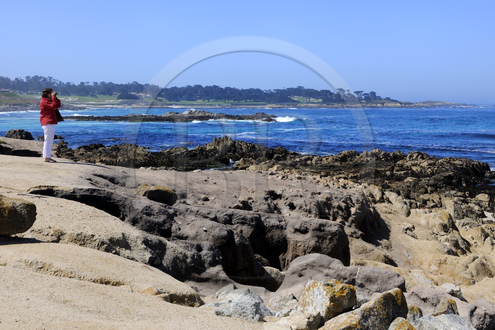 Etats-Unis, Californie, 17 mile drive, Point Joe à Spanish Bay