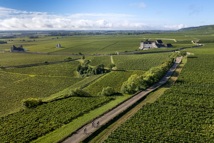 France, Côte-d'Or (21), Paysage culturel des climats de Bourgogne classés Patrimoine Mondial de l'UNESCO, Route des Grands Crus, vignoble de la Côte de Nuits, Vougeot, cyclistes sur une petite route menant au Chateau du Clos de Vougeot entouré par le vignoble (vue aérienne)