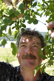 France, Meuse, Lorraine Regional Park, Cotes de Meuse, Combres sous les cotes, Domaine de Muzy, Jean-Marc Liénard, assess the production potential of mirabelle plums still green