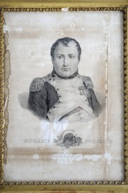 Italy, Verona province, Rivoli Veronese, harvest in the vineyards, portrait of Napoleon Bonaparte at the Napoleonic museum