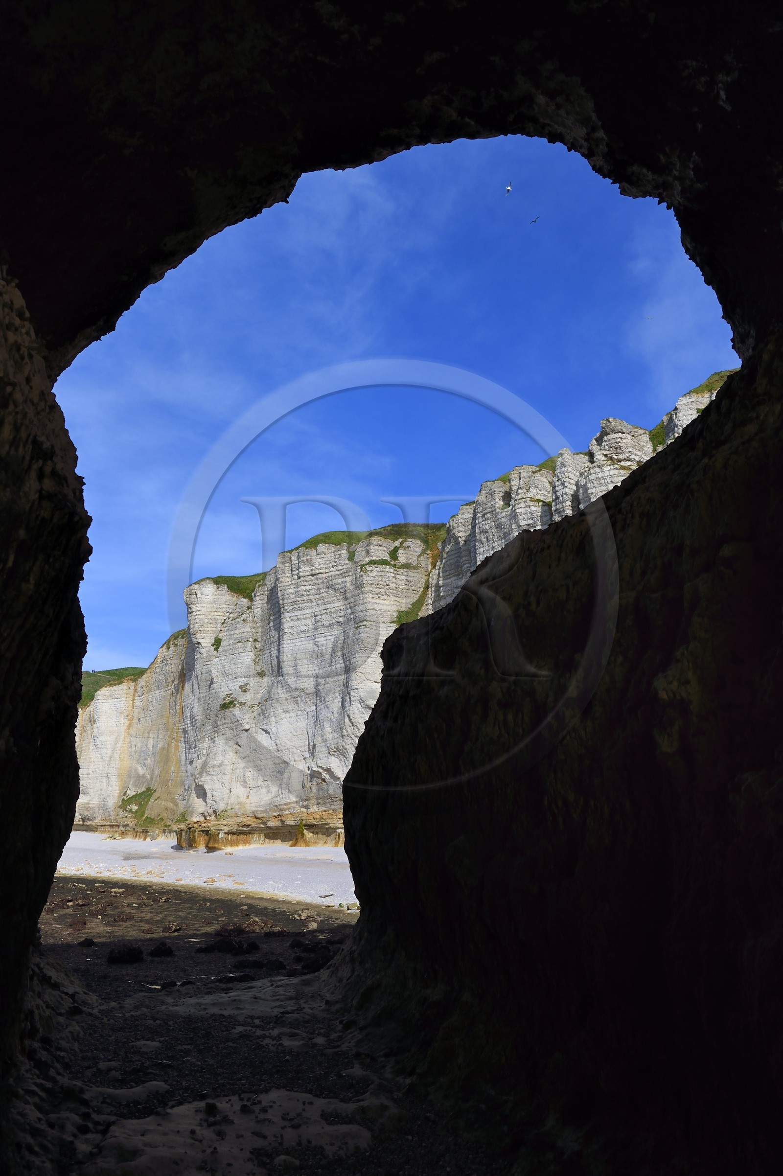 France, Seine-Maritime, Pays de Caux, Alabaster Coast (Cote d'Albatre), Etretat, the Aval cliff (falaise d'Aval) seen from a passage under the pointe de la Courtine at low tide