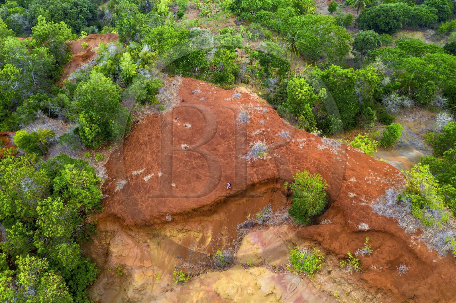 France, Mayotte island (French overseas department), Grande-Terre, Mbouini, the Padzas (deforested areas and gullied with reddish soils) of Dapani (aerial view)