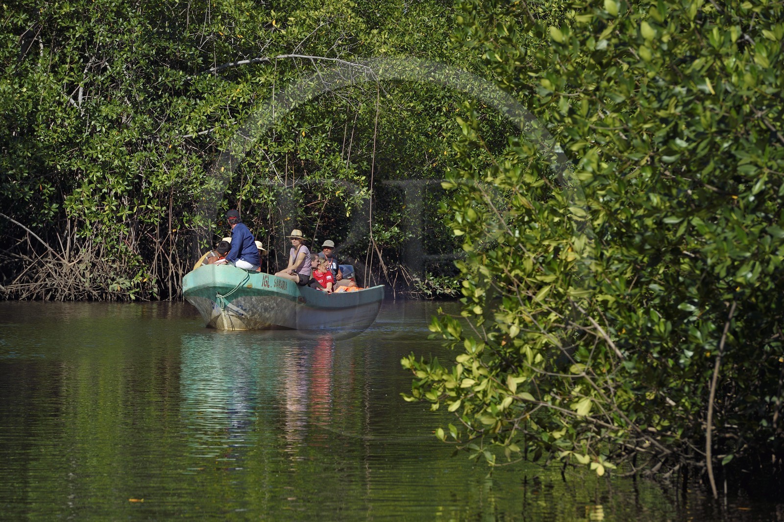 Nicaragua, la côte pacifique de Leon, découverte en bateau de la mangrove du parc national Isla Juan Venado