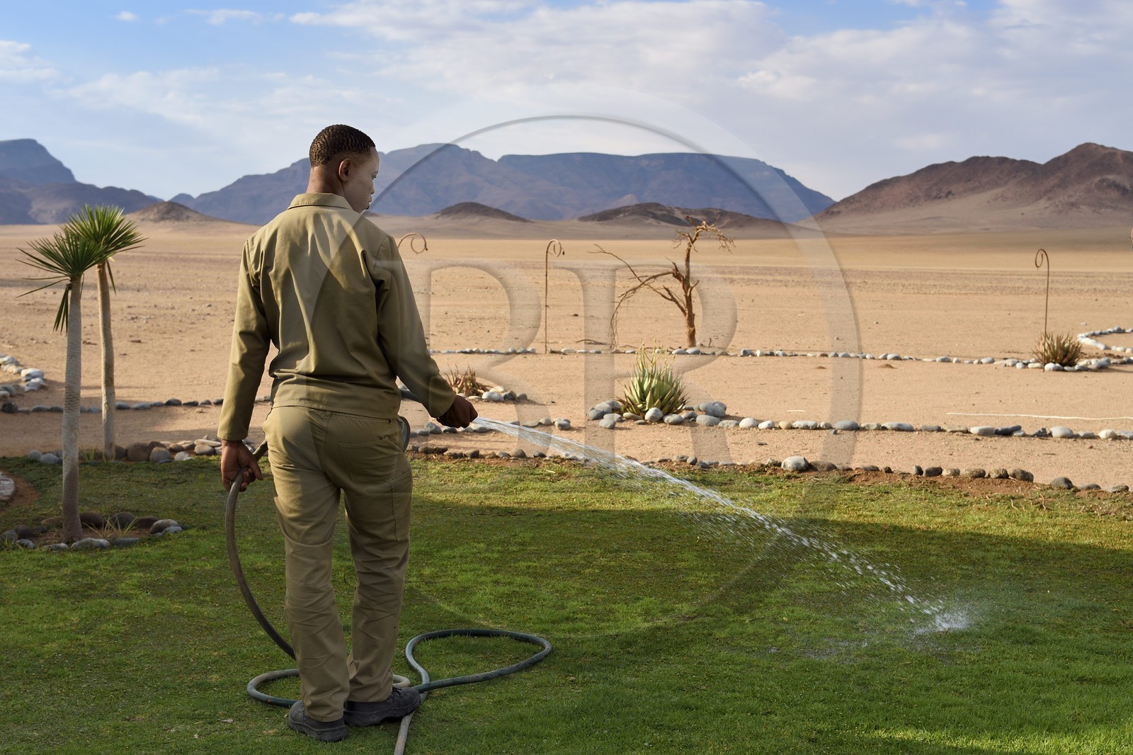 Namibia, Hardap region, Namib Desert East of the Namib Naukluft National Park towards Sossusvlei, the Mirage Resort & Spa, an employee sprinkles the lawn at the edge of the desert