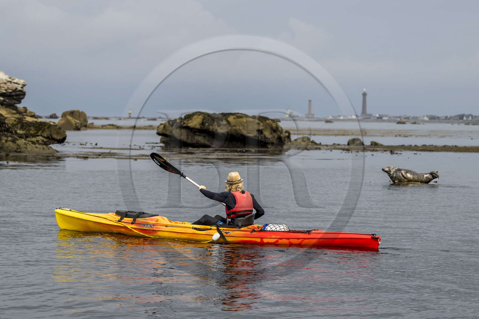 France, Finistère, Penmarch, Étocs archipelago, kayak trip from the Guilvinec Nautical Center to discover the gray seal (halichoerus grypus) in the rocks at low tide, the Eckmuhl lighthouse on Pointe de Penmarch in the background