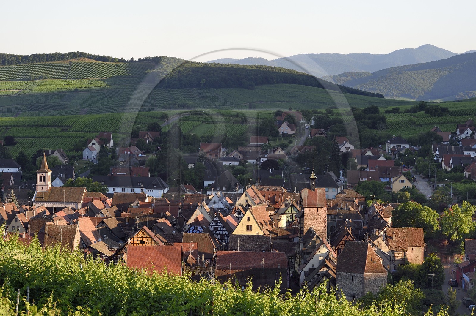 France, Haut-Rhin (68), Route des vins d'Alsace, Riquewihr, labellisé Les Plus Beaux Villages de France