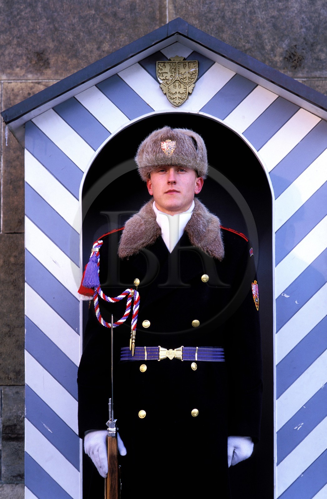 République Tchèque, Prague, le château, la garde nationale