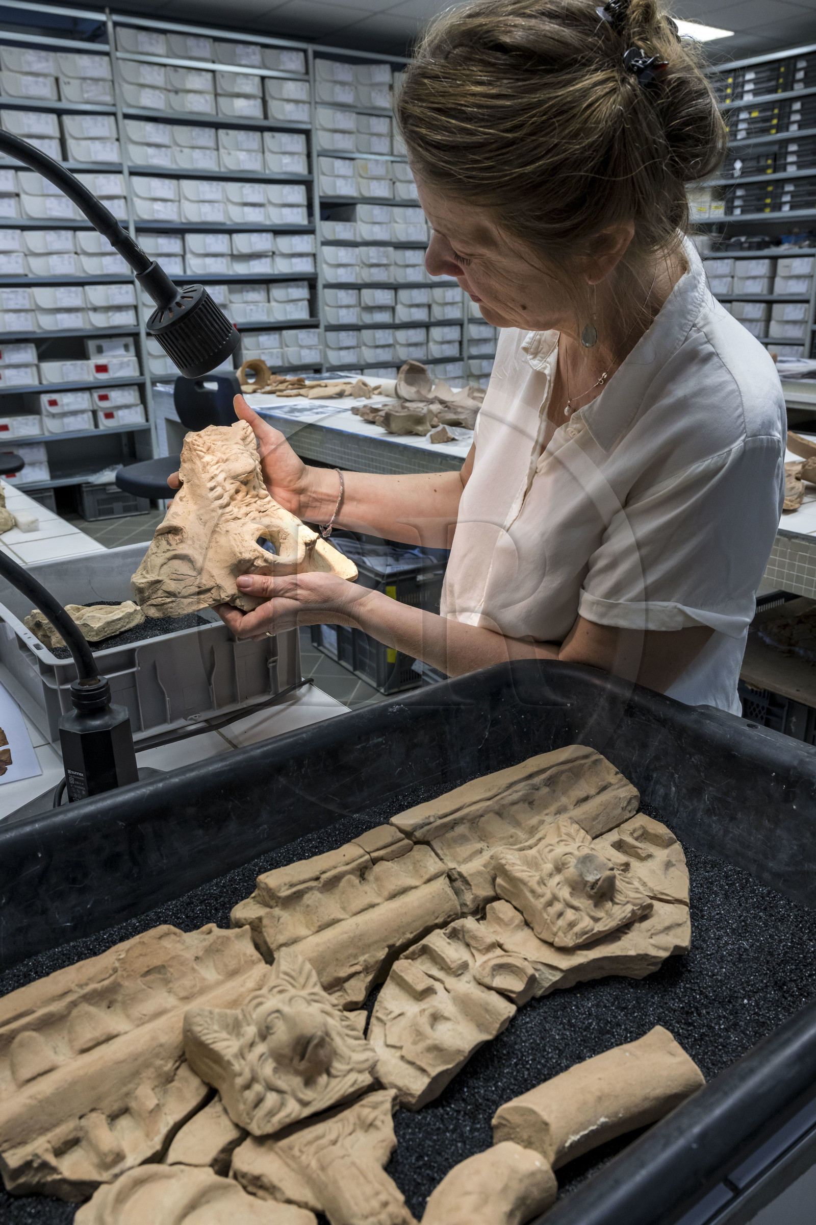 France, Bouches-du-Rhône (13), Arles, musée départemental Arles antique, salle d’étude du service archéologie, recherches des fouilles du site de l'ancienne verrerie de Trinquetaille sur la rive droite du Rhone, maison de la harpiste (entre 70 et 50 av. J.-C.), figure de chien protecteur en tuile et gargouilles de la toiture de l'atrium, l'archéologue Marie-Pierre Rothé