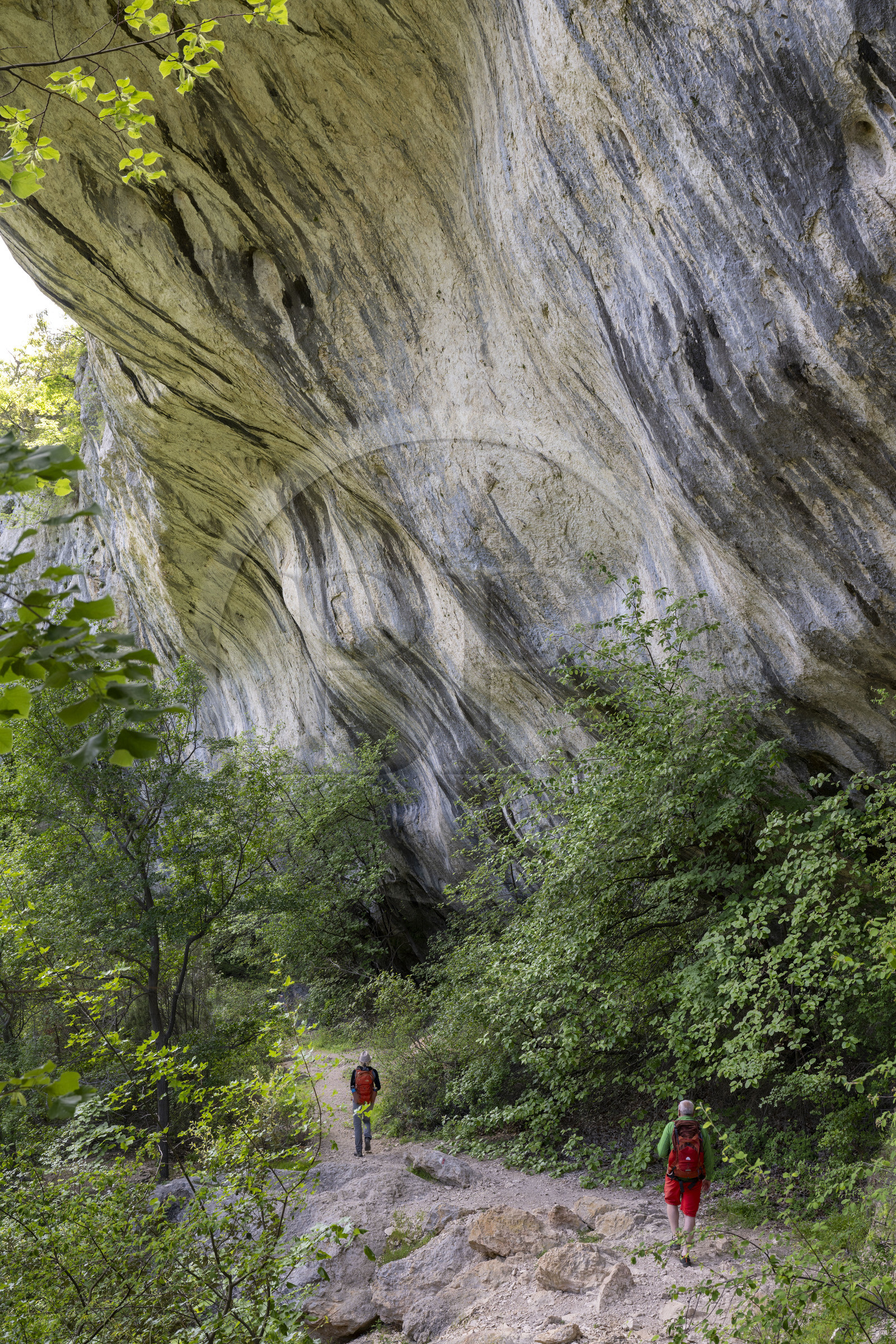 France, Vaucluse (84), Parc naturel régional du Mont Ventoux, Monieux, Gorges de La Nesque, randonneurs passant sous une barre rocheuse au fond du canyon