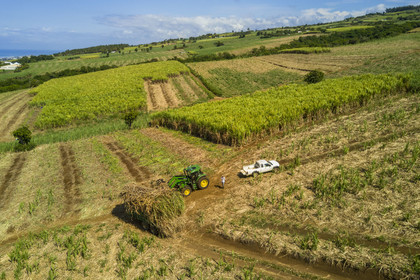 France, Ile de la Reunion, Petite-Ile, coupe et récolte de la canne à sucre (vue aérienne)