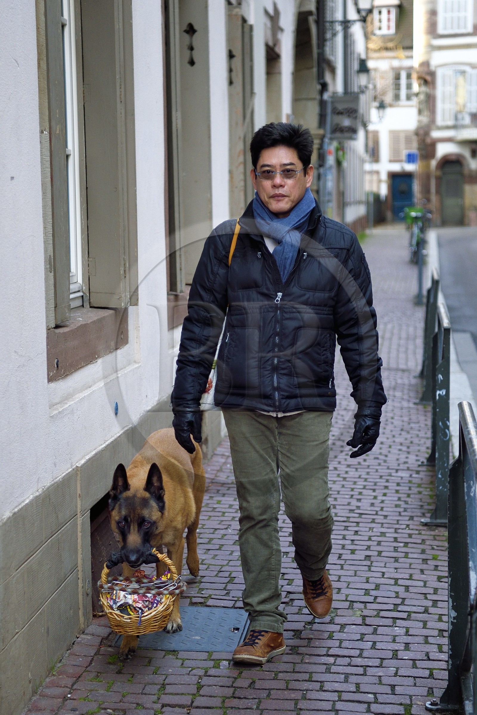 France, Bas-Rhin (67), Strasbourg, chien portant les courses de son maitre