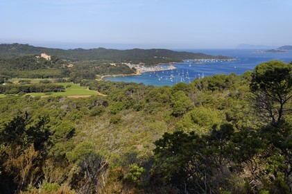 France, Var (83), Iles d'Hyères, parc national de Port Cros, Ile de Porquerolles, les vignes de la plaine de la Courtade et le port dominés par le Fort Sainte Agathe