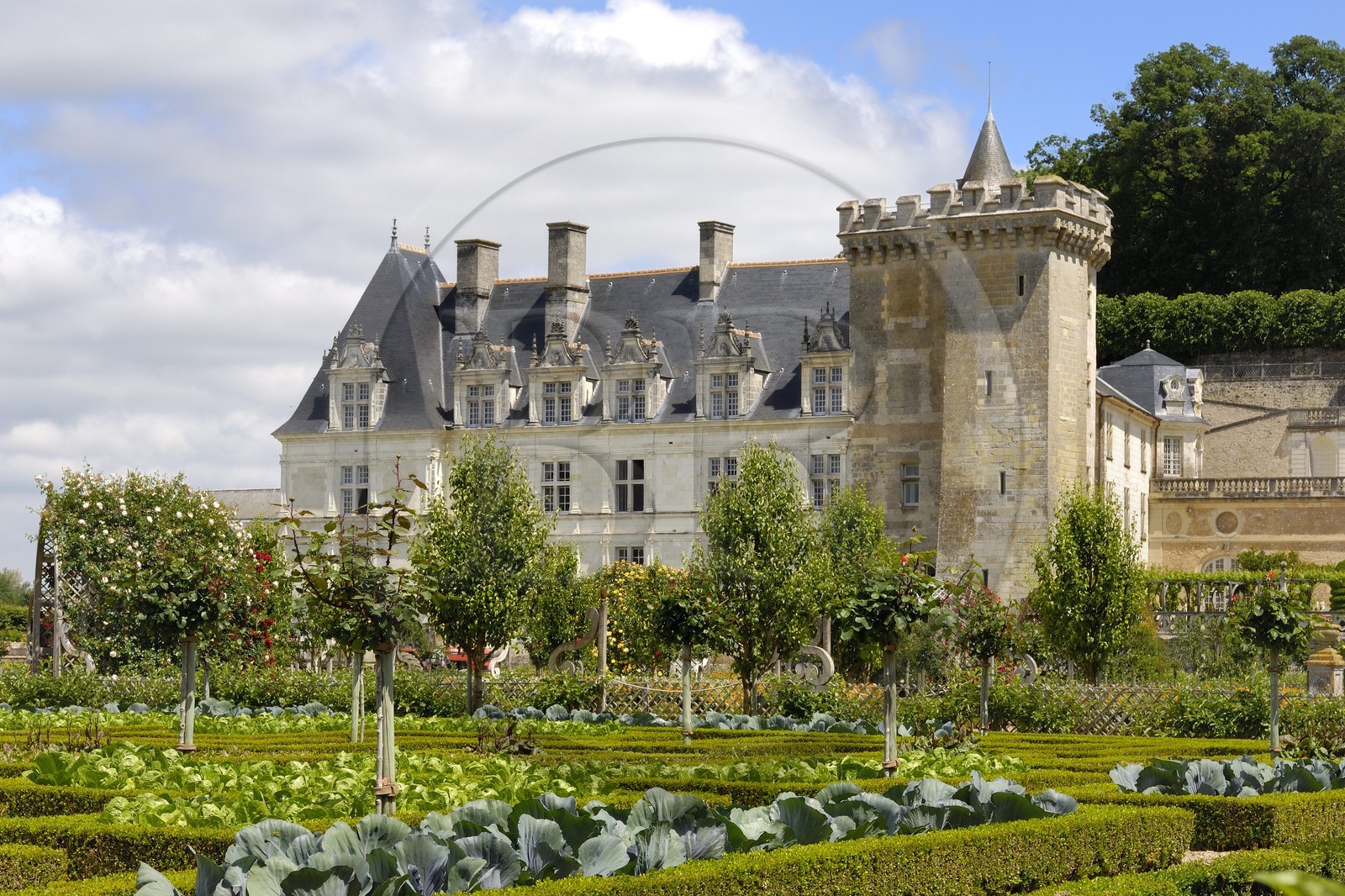 France, Indre et Loire, Loire Valley listed as World Heritage by UNESCO, Chateau de Villandry, the castle and the gardens, owned by Henry and Angelica Carvallo