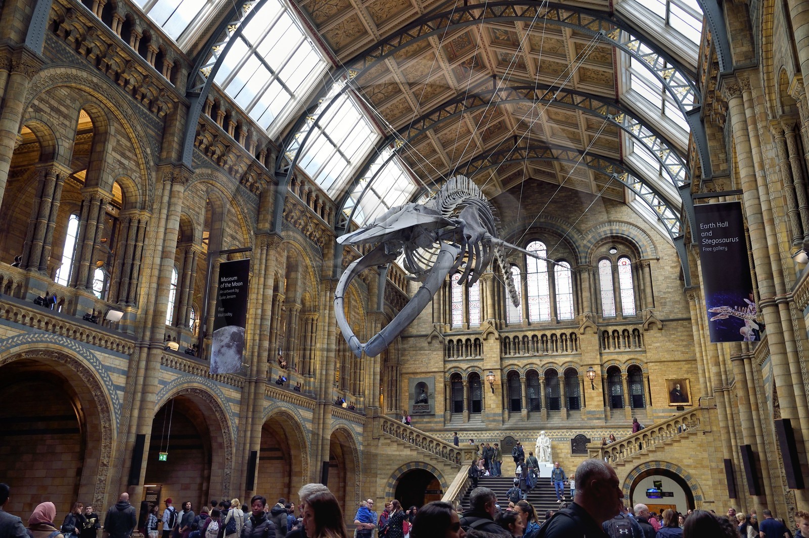 United Kingdom, London, Kensington, Natural History Museum, the Central Hall overlooked by the skeleton of a blue whale