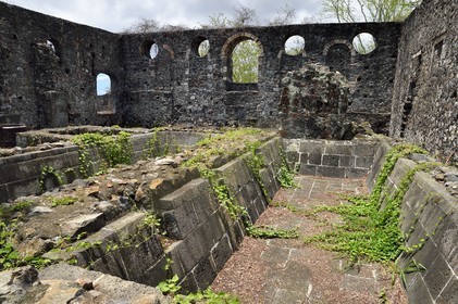 France, Ile de la Reunion, Saint-Gilles-les-Hauts, Musée de Villèle dans le domaine Panon-Desbassyns, ancienne propriété coloniale au cœur d'une grande plantation de canne à sucre qui faisait travailler un peu plus de 400 esclaves, bassin d'eau chaude dans les ruines de l'usine à sucre