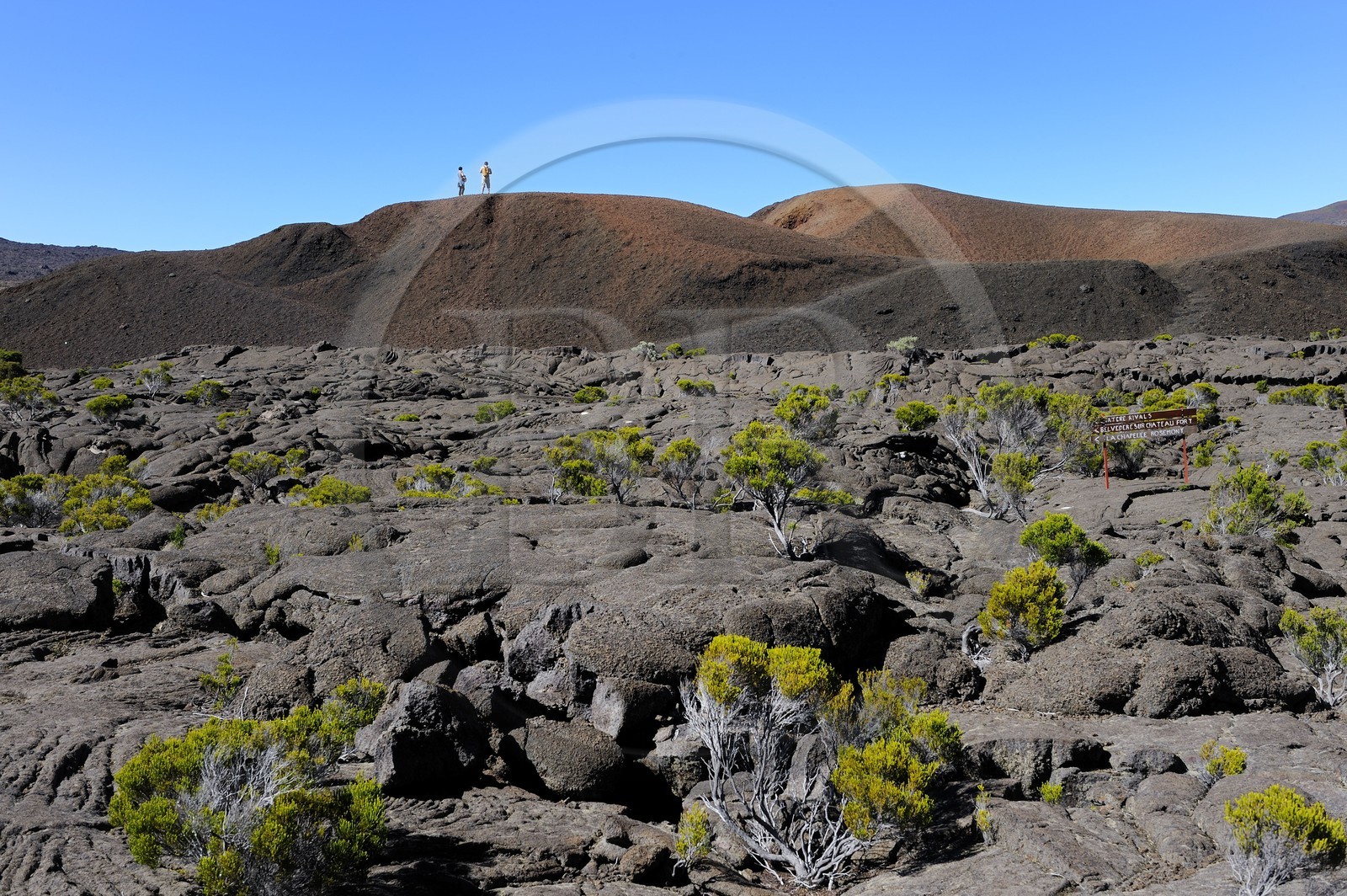 France, île de la Réunion, volcan du Piton de la Fournaise, classé Patrimoine Mondial de l'UNESCO, le cratère Formica Léo et les coulées de lave à l'intérieur de l'Enclos