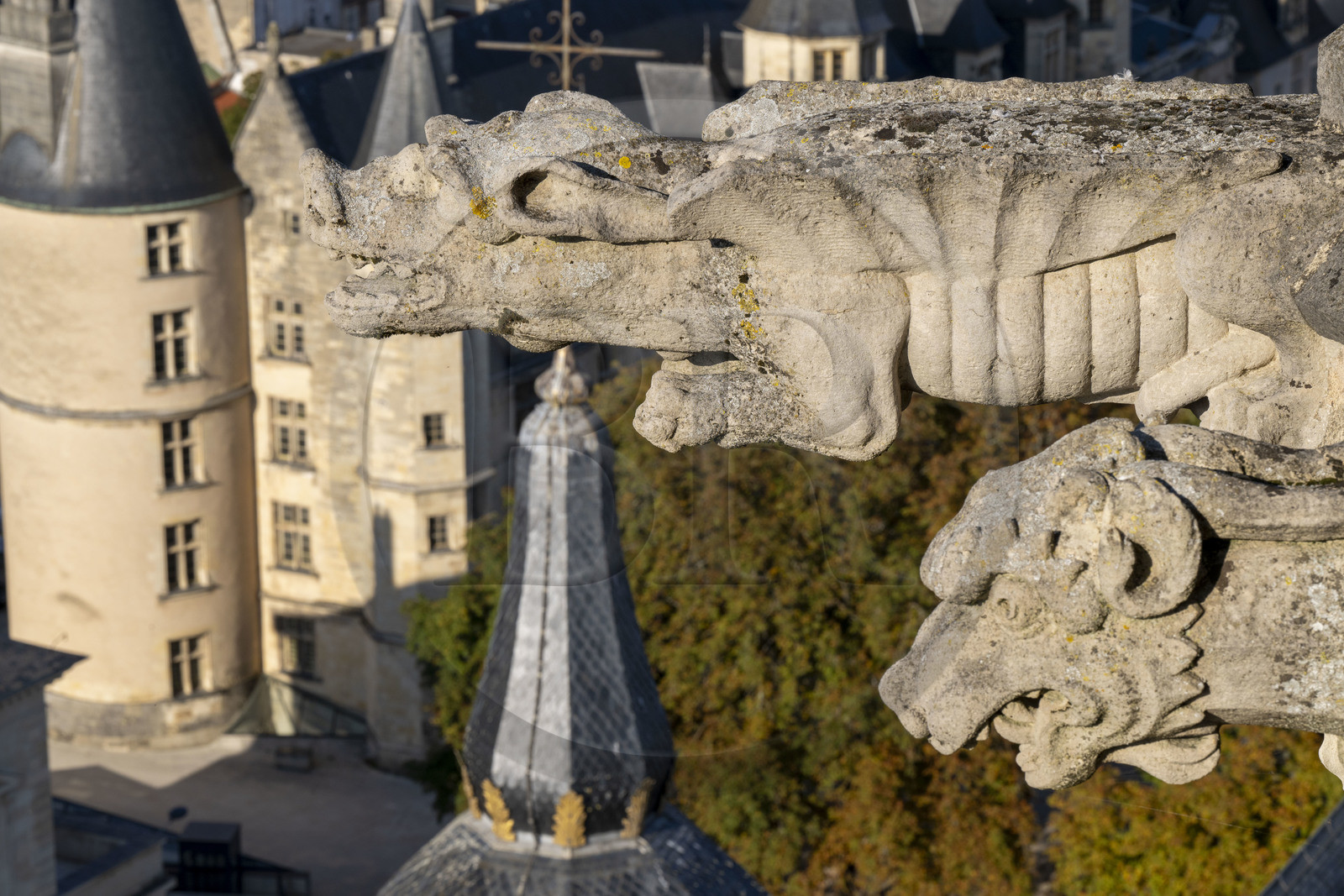 France, Nièvre (58), Nevers, cathédrale Saint-Cyr-et-Sainte-Julitte, gargouilles du XVIe siècle en haut de la tour Bohier de la Cathédrale