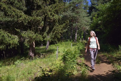 France, Puy-de-Dôme (63), Aydat, Parc naturel régional des Volcans d'Auvergne sur le parcours Musette nature sentier de Vichatel, randonneuse sur les pentes du volcan du Puy de Vichatel