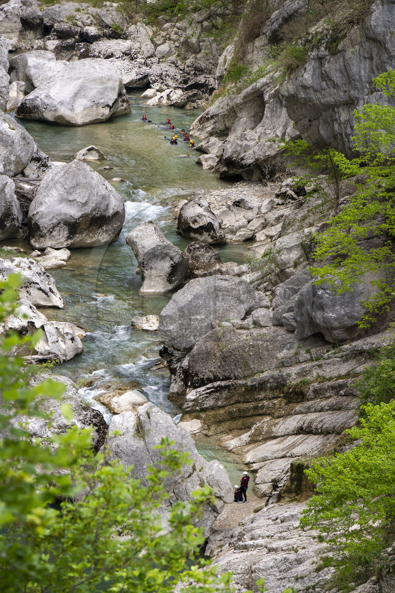 France, Alpes-de-Haute-Provence (04), Parc Naturel Régional du Verdon, Rougon, Grand Canyon du Verdon, canyoning dans la rivière du Verdon et les falaises du couloir Samson, vu depuis le sentier Blanc-Martel sur le GR4
