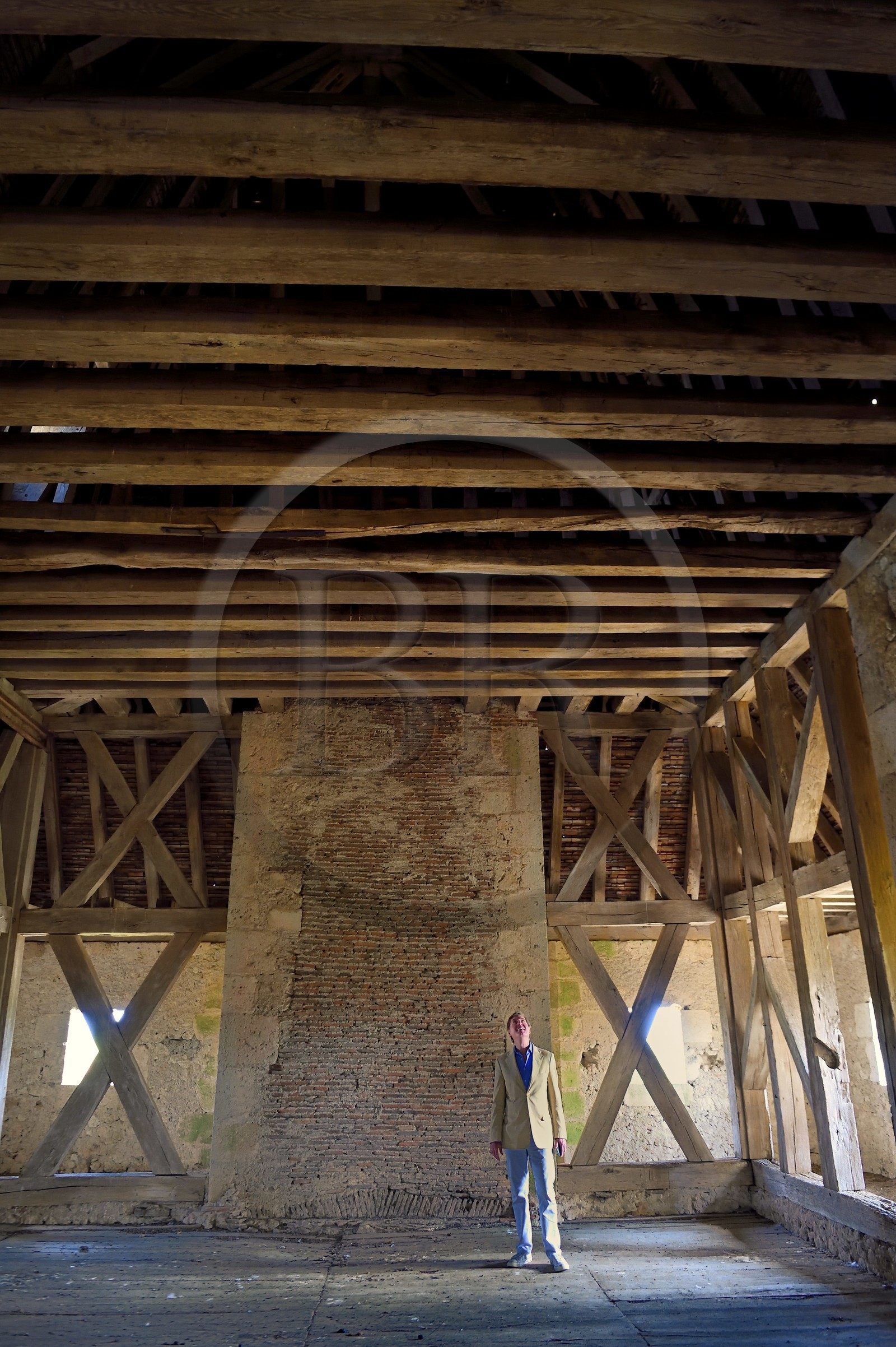 France, Allier (03), ancienne province du Bourbonnais, Besson, chateau de Fourchaud (XIVe siècle au XVIe siècle) appartenant aujourd'hui aux descendants des Bourbon-Parme, le Prince Charles Henri de Lobkowicz sous la charpente