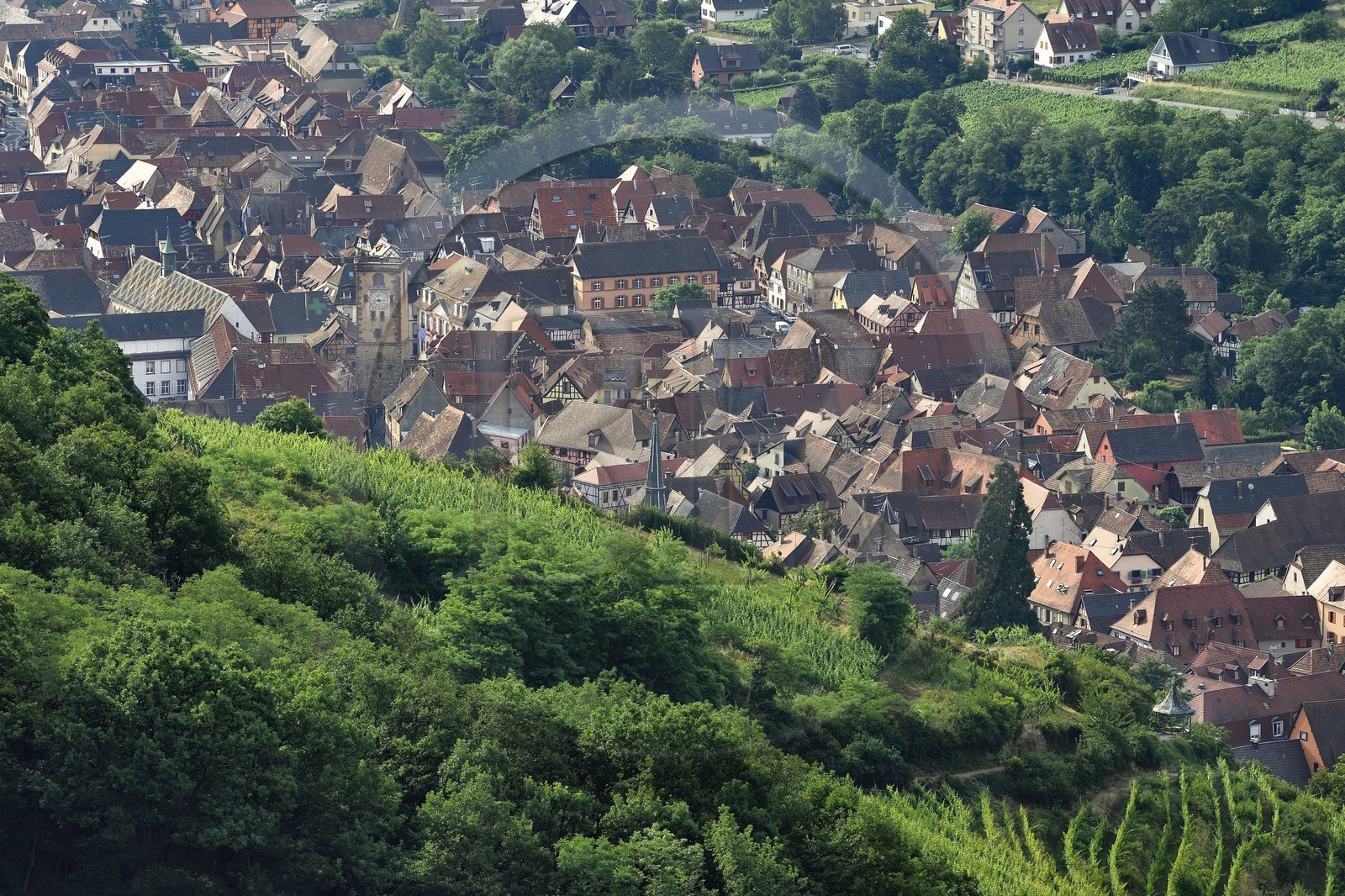 France, Haut-Rhin (68), Route des vins d'Alsace, Ribeauvillé
