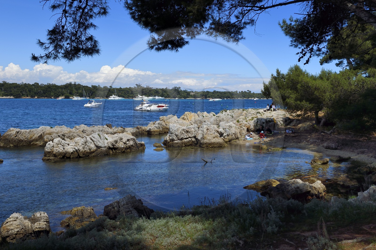 France, Alpes-Maritimes, Lerins Islands, Saint-Honorat island, small beach
