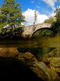 France, Haute-Corse (2B), région du Niolu (Niolo), pont génois de Murricciolu et les dessous de la rivière Calasima