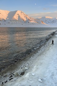 Norvège, Svalbard, Spitzberg, Longyearbyen, Adventfjorden, dentelle d'eau salée glacée