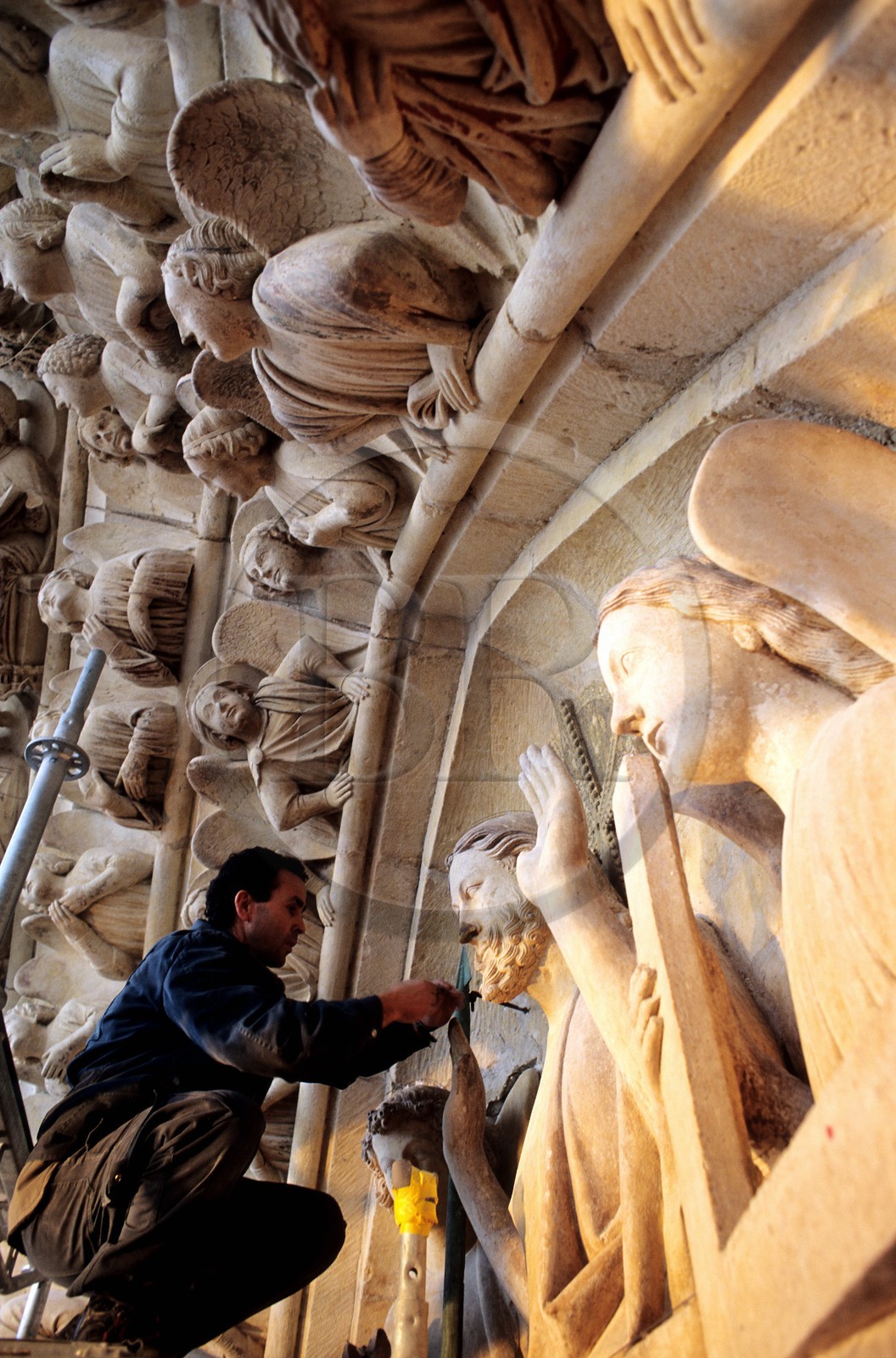 France, Paris (75), la cathédrale Notre-Dame, installation de système électrique anti-pigeons sur les statues (société Sertep)