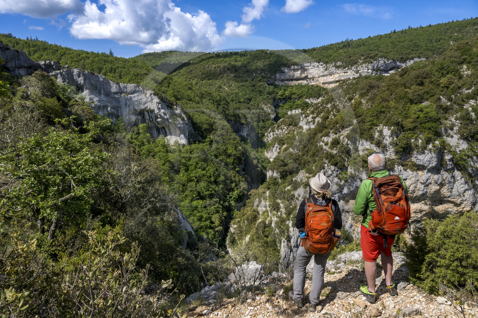 France, Vaucluse (84), Parc naturel régional du Mont Ventoux, Monieux, Gorges de La Nesque, randonneurs sur les hauteurs face au barres rocheuses