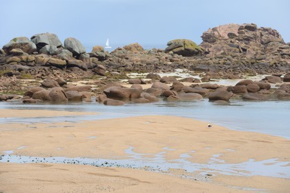 France, Côtes-d'Armor (22), Côte de Granit Rose, Trégastel, l'Ile Renote