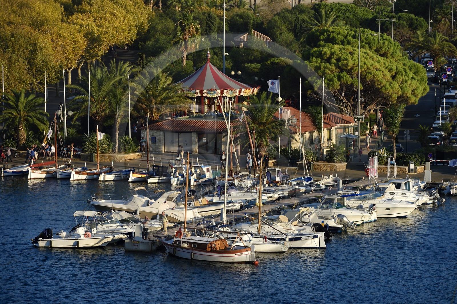 France, Var (83), Sanary-sur-Mer, barques traditionnelles de peche appelées pointus sur le port
