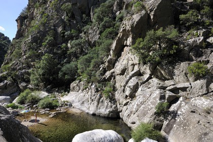 France, Herault, Mons la Trivalle, Heric gorges in the mountain of Caroux at the heart of the Regional Natural Park of Upper Languedoc