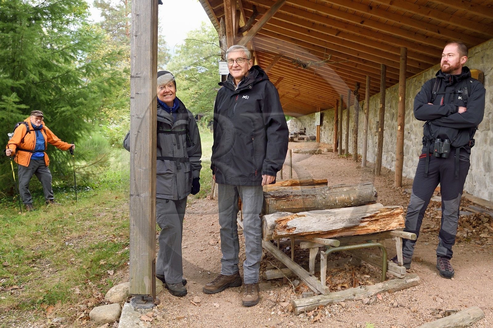 France, Haut-Rhin (68), Thannenkirch, randonnée dans le massif du Taennchel, ancienne carrière de granit dans la foret de Bergheim, ancienne schlitte, traineau qui a l'aspect d'une grosse luge à l'armature légère et assez souple, généralement en bois avec les amis du Taennchel de la section du club vosgien