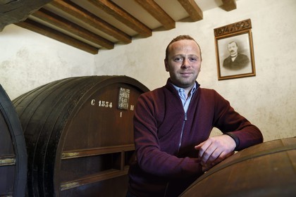 France, Calvados (14), Pays d'Auge, Saint-Cyr du Ronceray, Jean-Roger Groult (sous le portrait de son arrière grand-père) producteur du Calvados Roger Groult AOC Pays d’Auge depuis cinq générations, tonneaux dans les chais de vieillissement