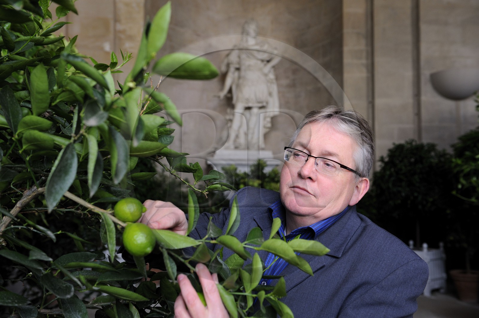 France, Yvelines, Chateau de Versailles, listed as World Heritage by UNESCO, Orangery by Jules Hardouin Mansart in Winter, Joel Cottin gardener in chief of the Petit Parc