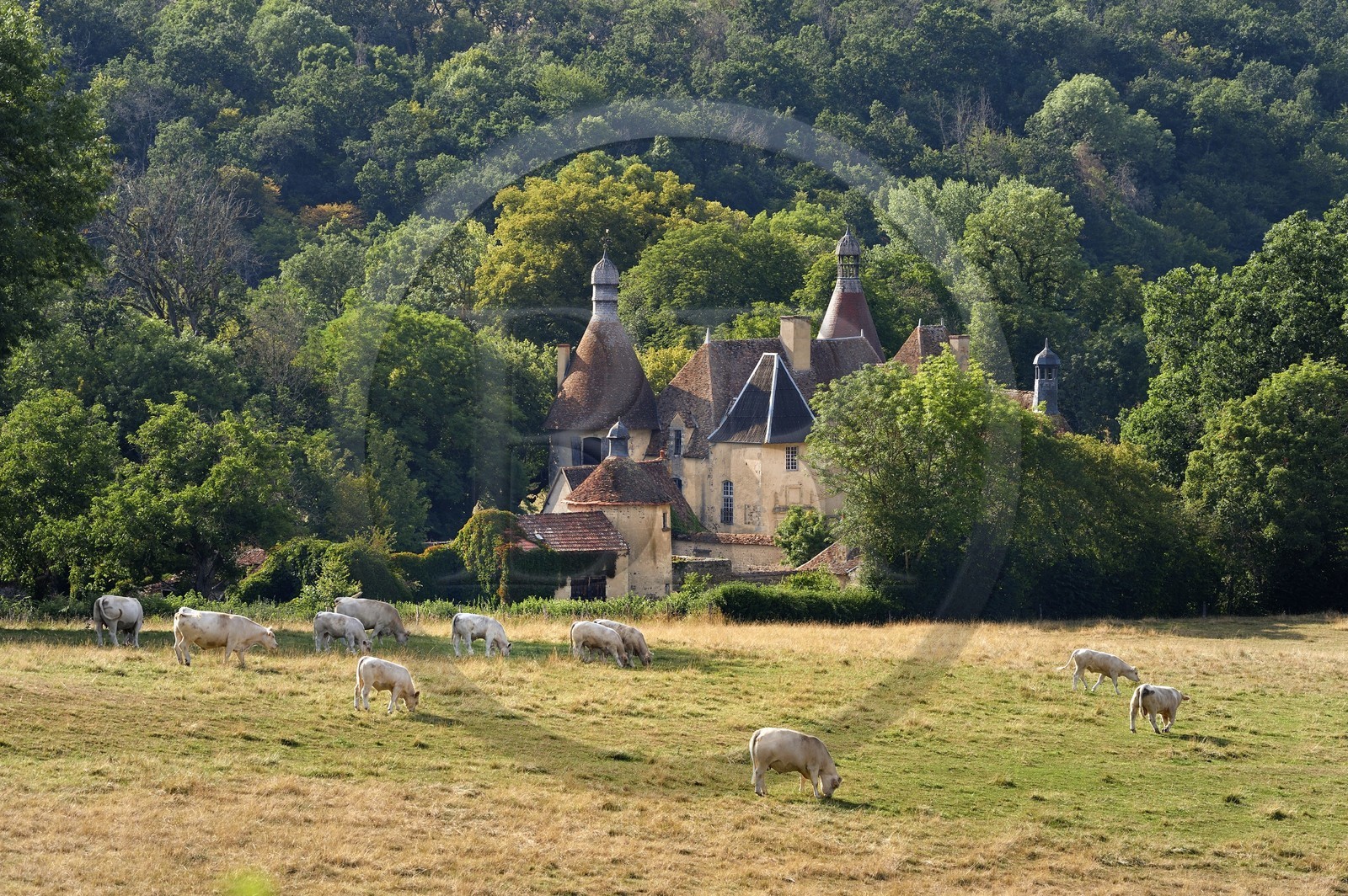 France, Allier (03), former province of Bourbonnais, Besson, le Vieux Bostz castle belonging to the descendants of the Bourbon-Parma