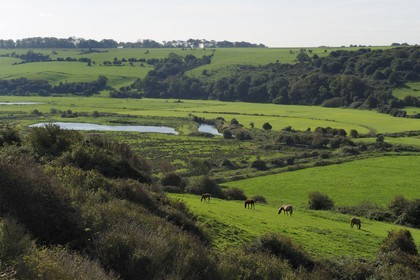 France, Seine-Maritime (76), Pays de Caux, Veulettes-sur-Mer, vue de la vallée de la Durdent