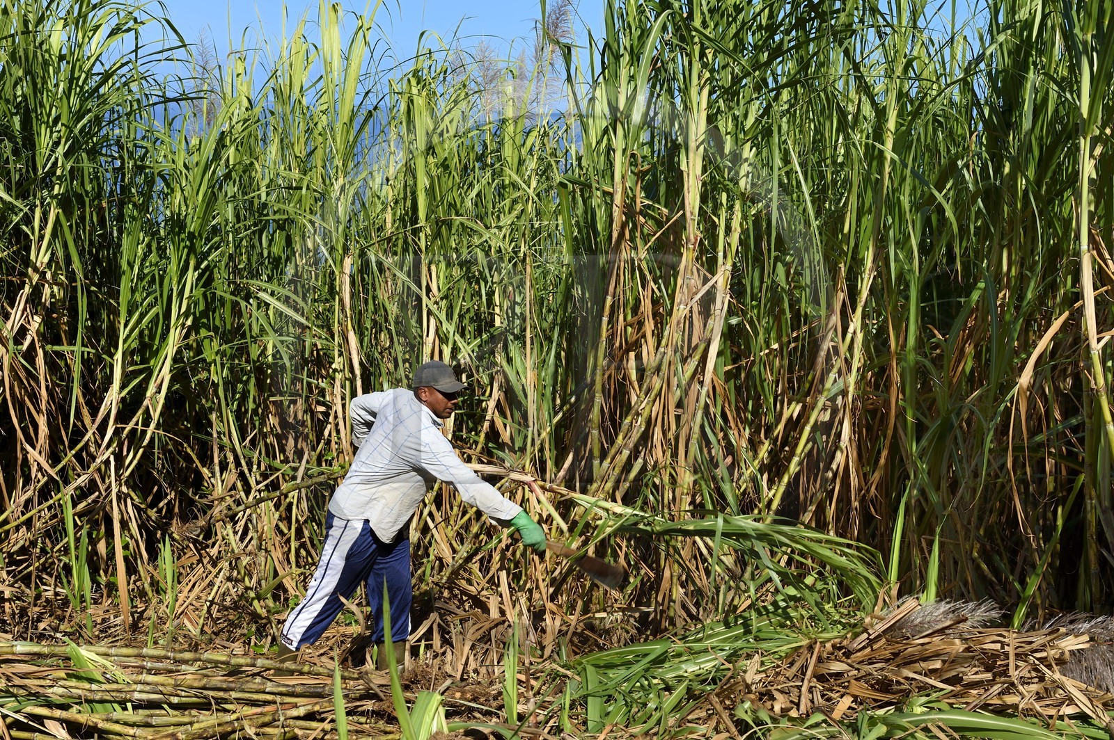 France, Reunion island (French overseas department), Petite-Ile,