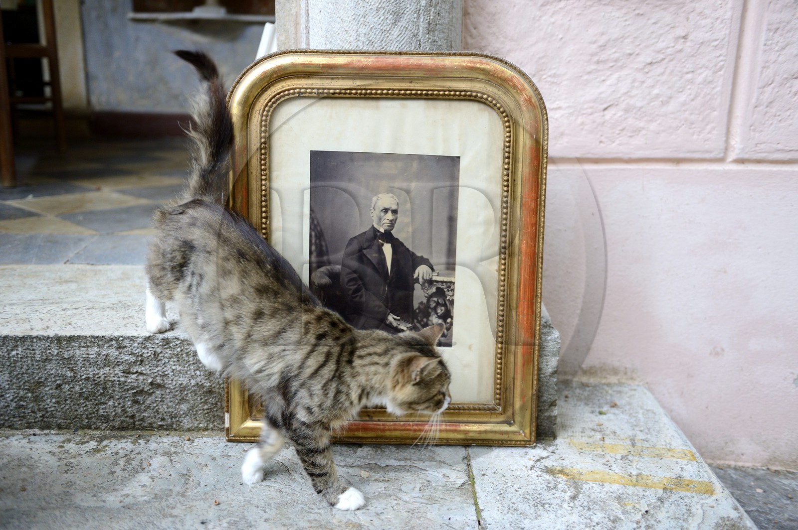 France, Haute-Corse (2B), Cap Corse, Sisco, le palais Gaspari-Ramelli (Palazzi ou Maison d'Americain), portrait du docteur Santos (Toussaint) Gaspari