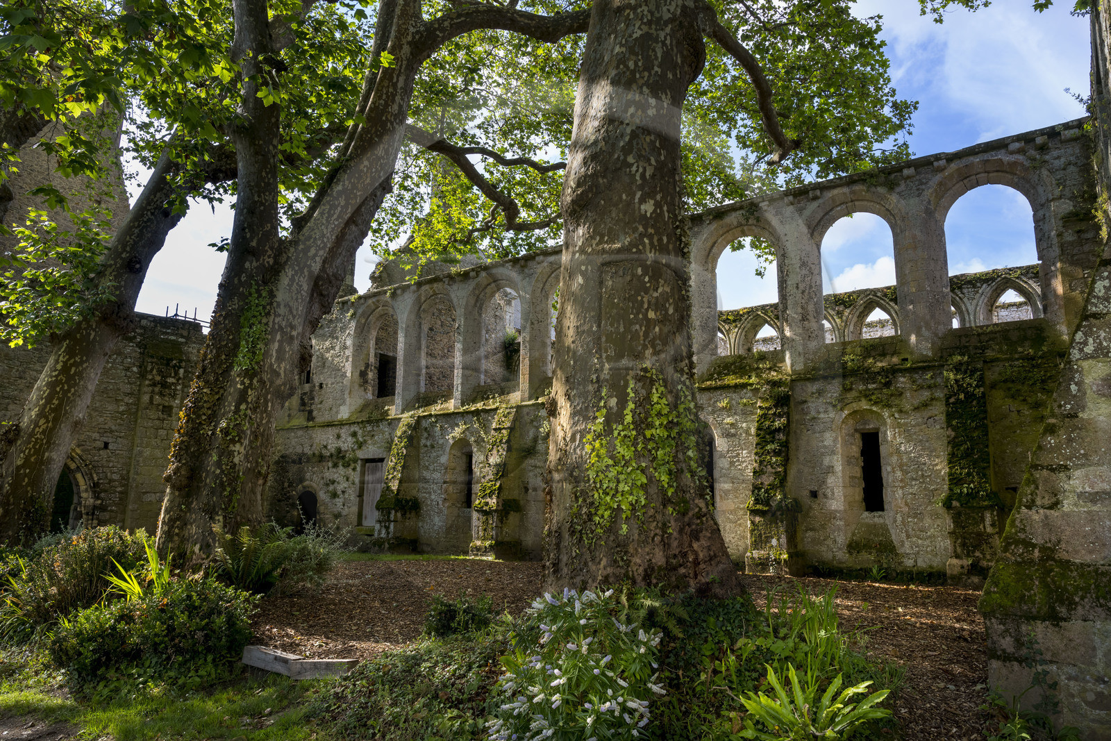 France, Côtes d'Armor (22), Paimpol, abbaye de Beauport du XIIIème siècle