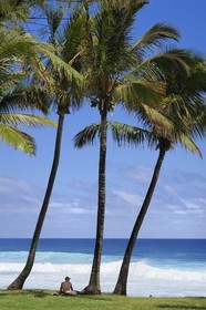 France, île de la Réunion, la côte sud, plage de Grand-Anse