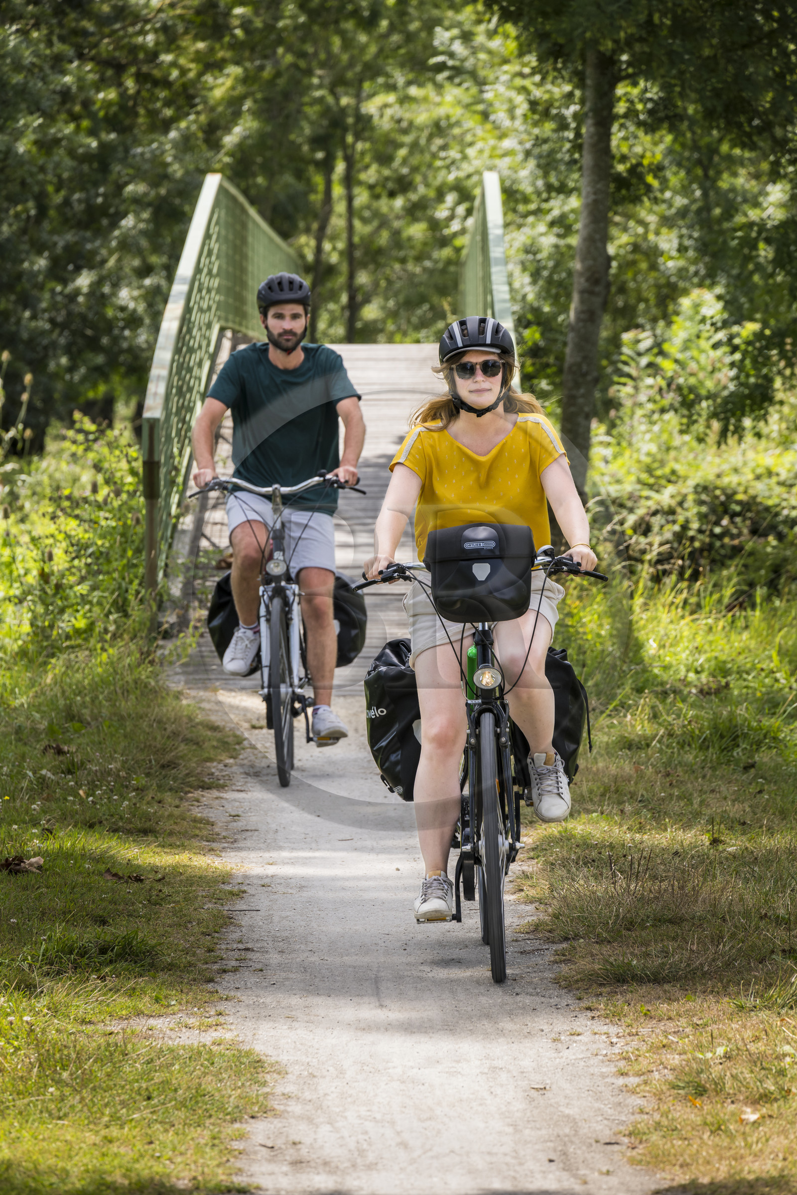 France, Deux-Sèvres (79), le Marais Poitevin, la Venise Verte, Sansais, bicycle journey on the Vélo Francette cycle path, bike with a trailer carrying camping equipment
