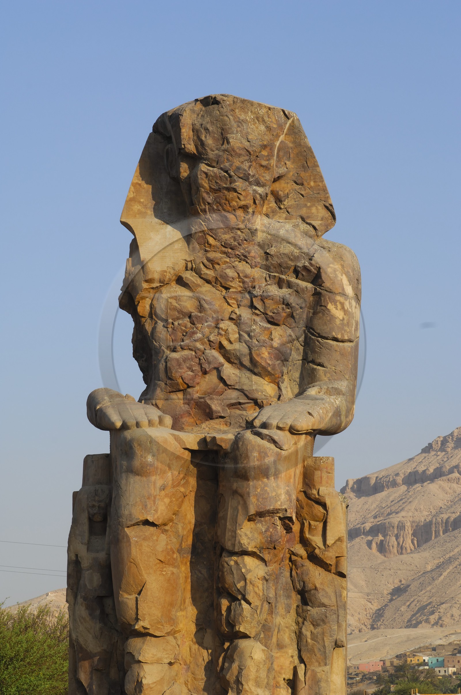 Egypte, Haute Egypte, vallée du Nil, environs de Louxor, nécropole thébaine classée Patrimoine Mondial de l'UNESCO, Thèbes Ouest, les colosses de Memnon