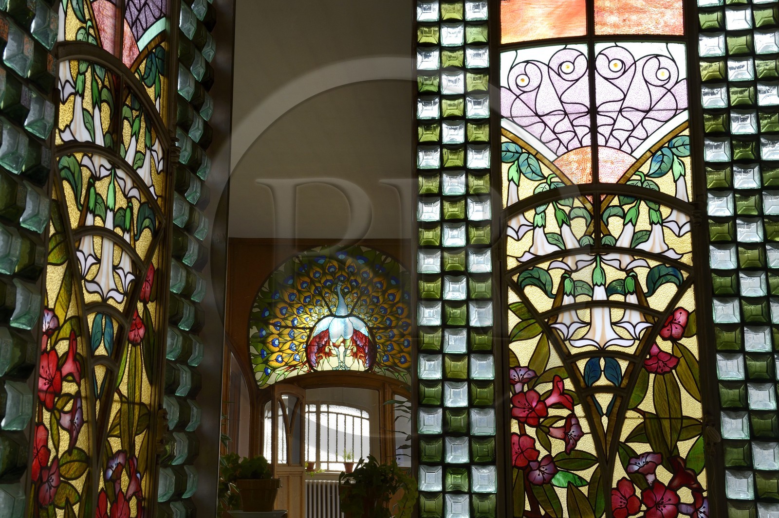 France, Meurthe-et-Moselle (54), Nancy, la maison Bergeret de style Art Nouveau, vitraux du jardin d’hiver d’hiver décoré d’une verrière de daturas en culs-de-bouteille